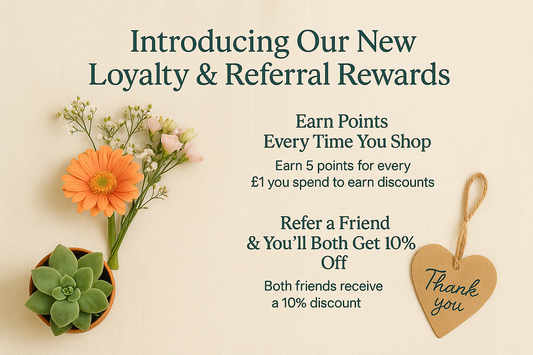 Introducing Our New Loyalty & Referral Rewards