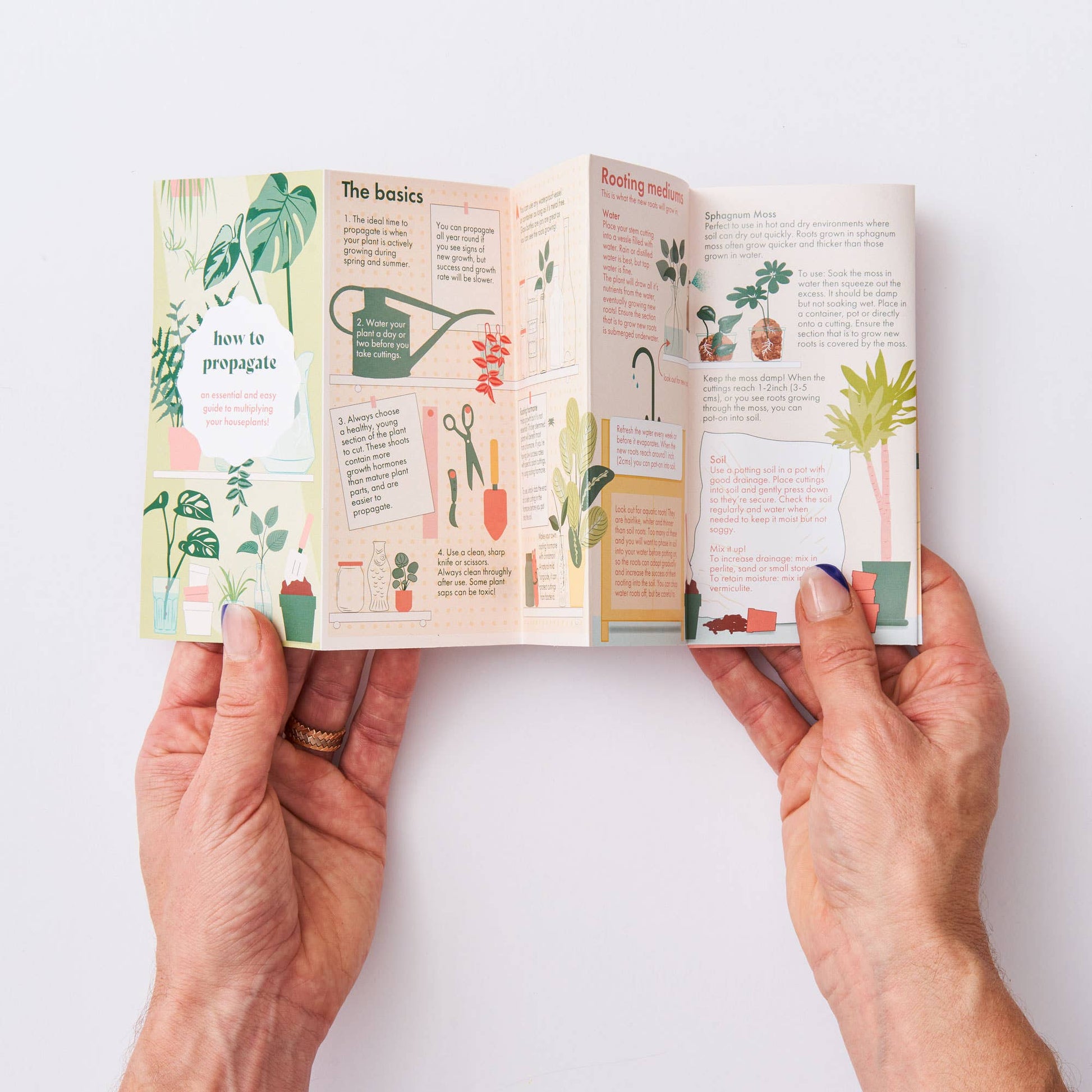 Fold-out propagation guide booklet held in hand to demonstrate its compact size, featuring detailed instructions for propagating houseplants. A perfect gift for houseplant parents and plant enthusiasts, available from The Petal and Plant Company.