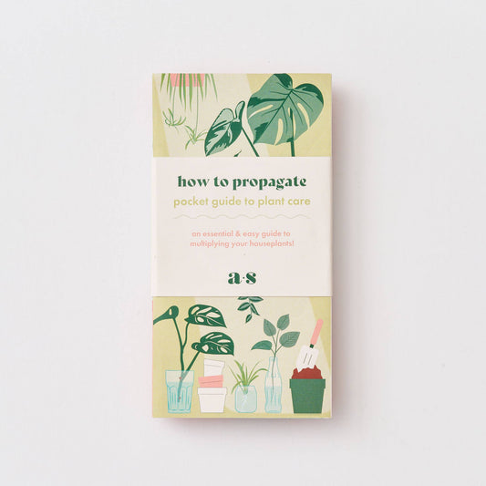 The front of the Fold-out propagation guide booklet, featuring detailed instructions and illustrations to help propagate houseplants, a practical and informative gift available from The Petal and Plant Company.