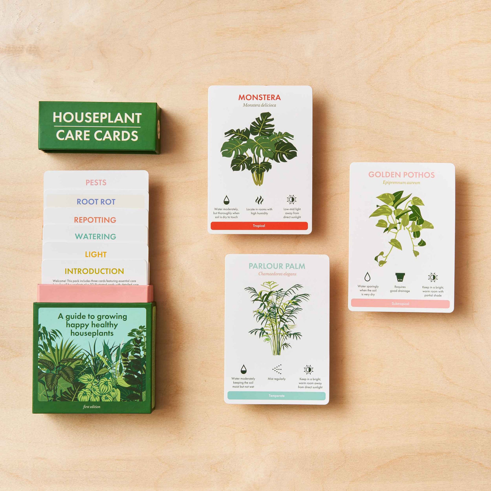 Houseplant care cards displayed with some staggered inside their rectangular box, showing topics covered such as pests, root rot, repotting, watering, and light. A few cards are laid out on the table, highlighting the detailed information provided to help care for specific houseplants. A practical and thoughtful gift available from The Petal and Plant Company