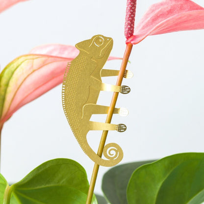 Brass chameleon plant animal climbing a lily, adding a playful touch to houseplants, available for purchase from The Petal and Plant Company