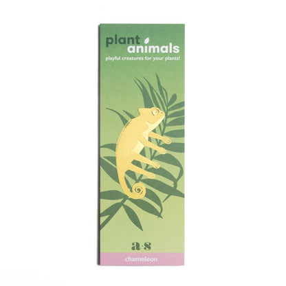 Little brass chameleon designed to hang on houseplants, a charming addition for plant lovers, available for purchase from The Petal and Plant Company