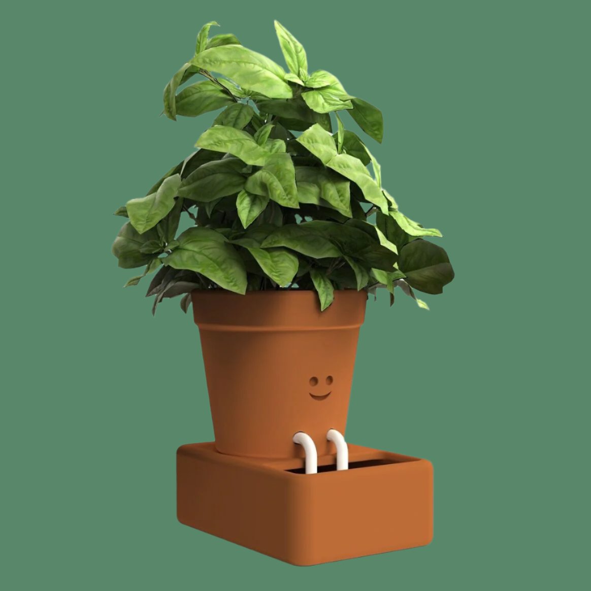 erracotta indoor houseplant pot with string legs dipping into a terracotta foot bath for self-watering, containing a green plant, displayed against a dark green background, available for purchase from The Petal and Plant Company.
