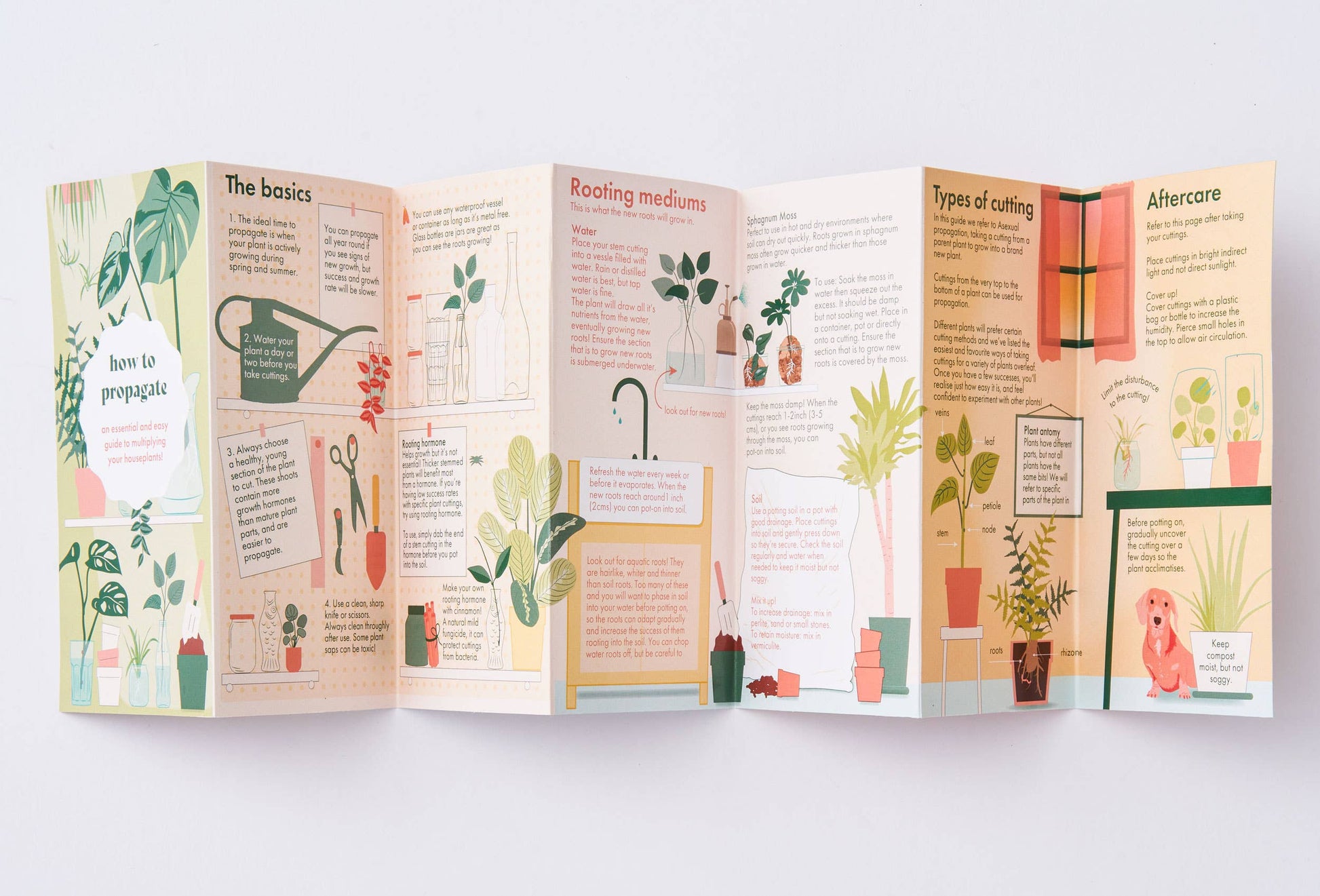 Fold-out propagation guide booklet, featuring detailed instructions and illustrations to help propagate houseplants, a practical and informative gift available from The Petal and Plant Company
