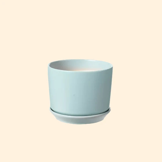Pale blue ceramic indoor plant pot with a built-in saucer to aid drainage, a stylish and practical option for houseplants, available for purchase from The Petal and Plant Company