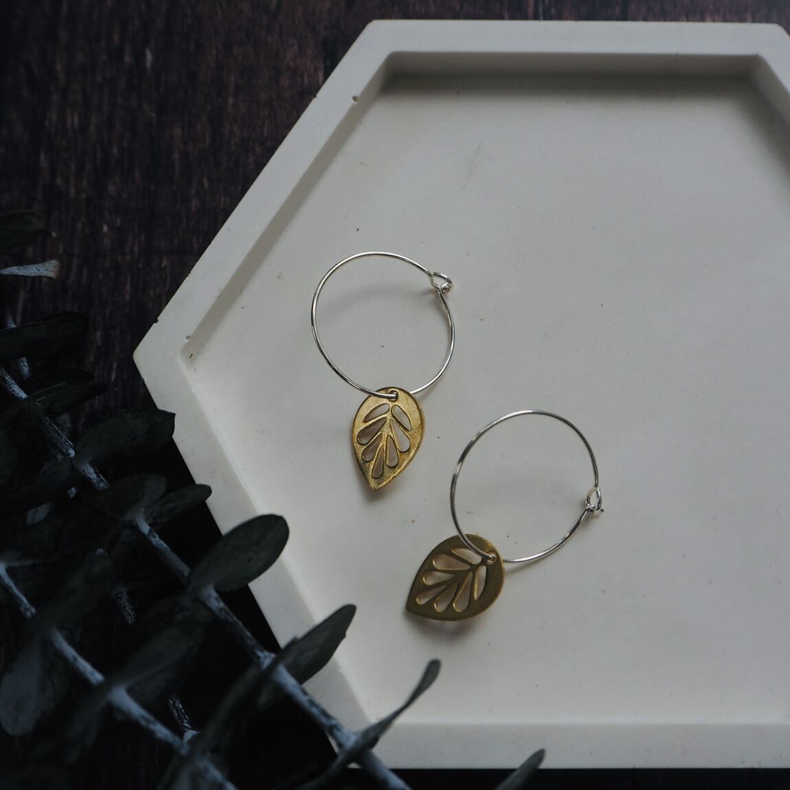 Brass monstera leaf on silver hoop earrings, a unique and stylish accessory inspired by botanical designs, available for purchase from The Petal and Plant Company.