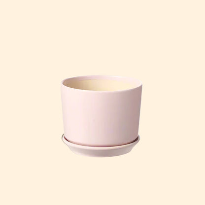Pale pink ceramic indoor plant pot with a built-in saucer to aid drainage, a stylish and practical choice for houseplants, available for purchase from The Petal and Plant Company.