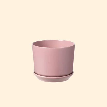 Wisteria pink ceramic indoor plant pot with a built-in saucer to aid drainage, featuring a subtle berry tone, perfect for houseplants and available for purchase from The Petal and Plant Company